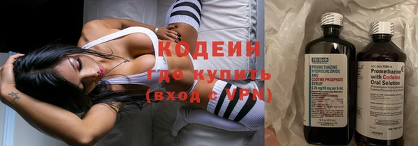 хмурый Алзамай