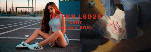 хмурый Алзамай