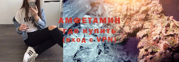 индика Алексеевка