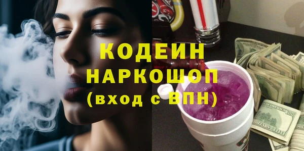 хмурый Алзамай