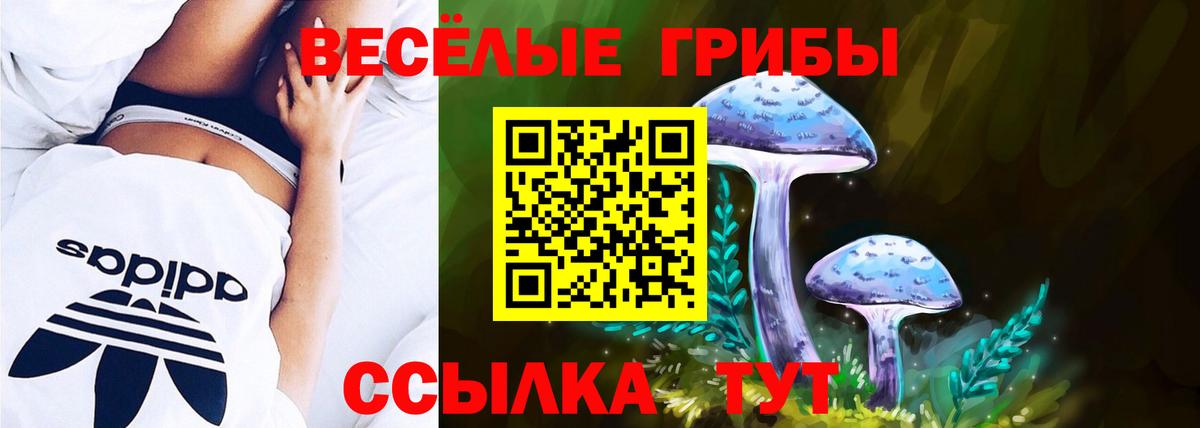 Псилоцибиновые грибы мицелий  Вход с VPN  Сосновый Бор 