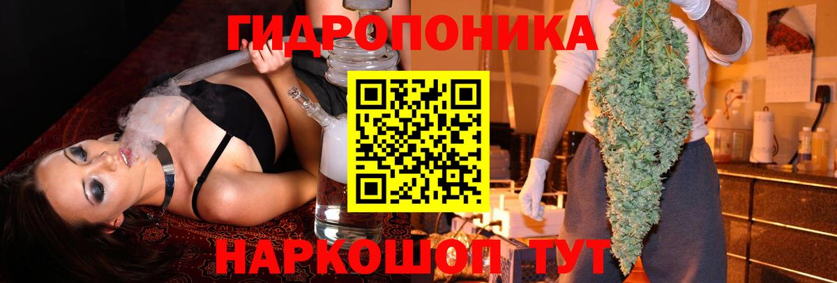 Сосновый Бор  Канабис Ganja  Конопля MAZAR  Каннабис THC 21%  Вход с VPN  Бошки марихуана OG Kush 